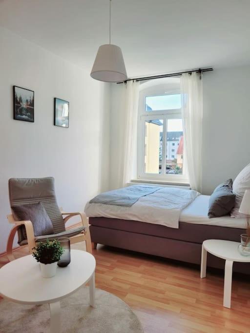 Gemuetliches Helles Appartement Dresde Exterior foto